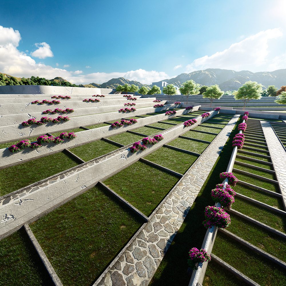 Family C Landscape